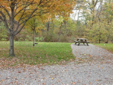 A picnic area with a picnic table and trees, perfect for campers looking for campsites amidst nature.