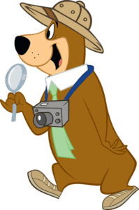 A brown bear at a campsites, holding a camera and hat.