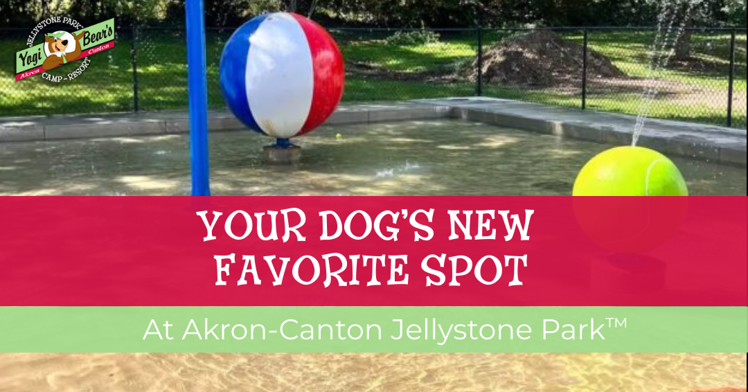 A shallow splash pad with large beach ball features at Akron-Canton Jellystone Park™, promoted as a dog-friendly area.