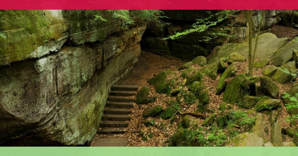 Stone steps lead into a mossy, rocky area surrounded by large boulders, trees, and a natural rock wall.