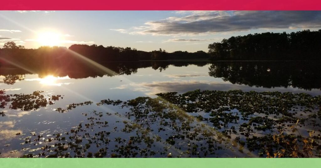 Sun setting over a calm lake, reflecting the sky and trees, with aquatic plants in the foreground. Red and green borders are at the top and bottom of the image.