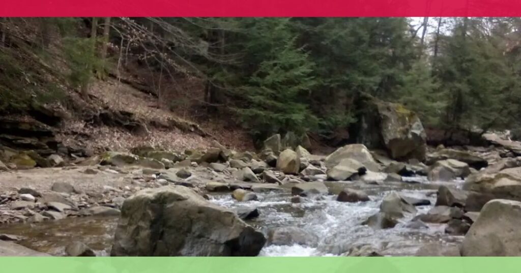 A rocky stream flows through a forested area with evergreen trees; red and green borders are visible at the top and bottom of the image.