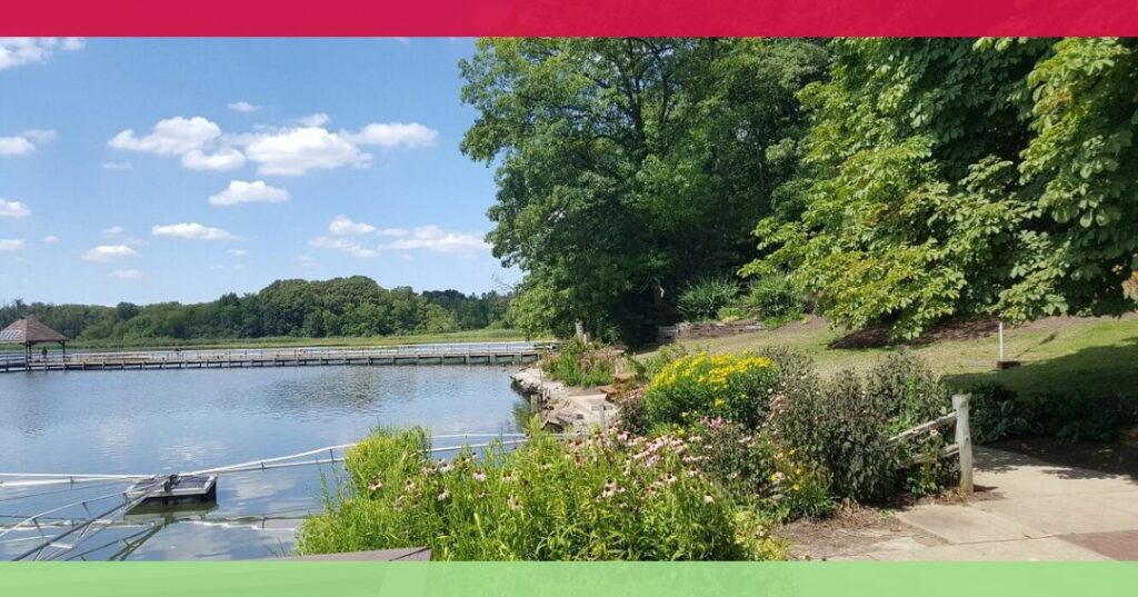 A lakeside scene with a dock, lush greenery, flowering plants, and a clear blue sky with scattered clouds.
