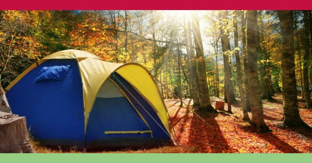 A blue and yellow tent is set up in a sunlit forest with autumn leaves covering the ground and colorful trees in the background.