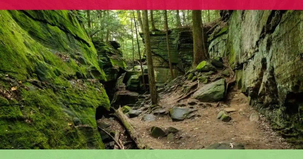 A forest trail passes between moss-covered rock formations and tall trees, with a dirt path and scattered stones on the ground.