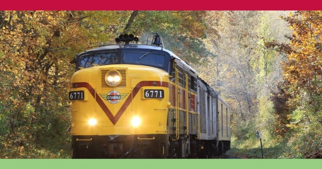 A yellow vintage train numbered 6771 travels through a forest with autumn foliage.